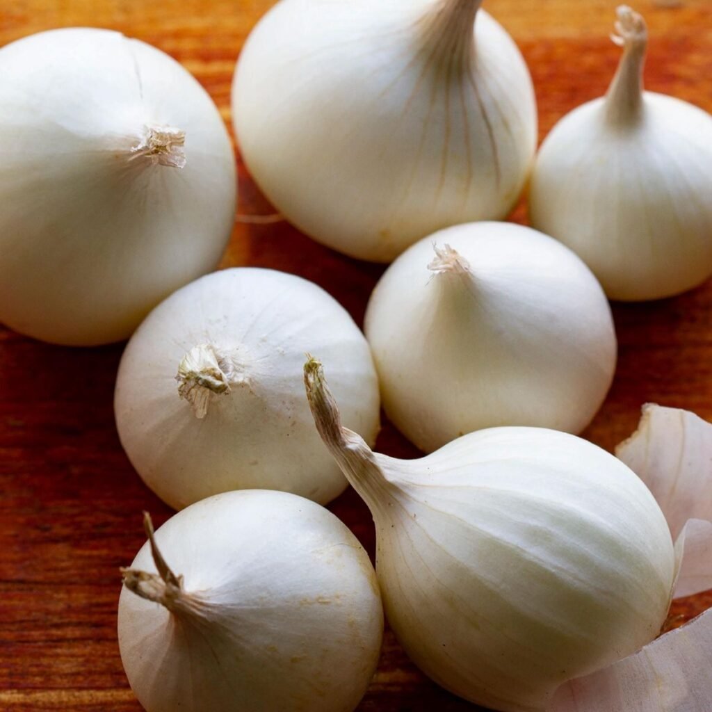 white onion01
